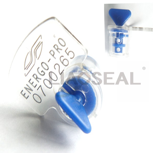 Electronic Seal